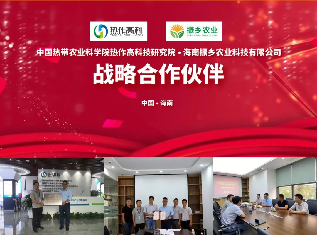 富硒地瓜的功效和作用(地瓜功效作用富硒含量)-硒宝网