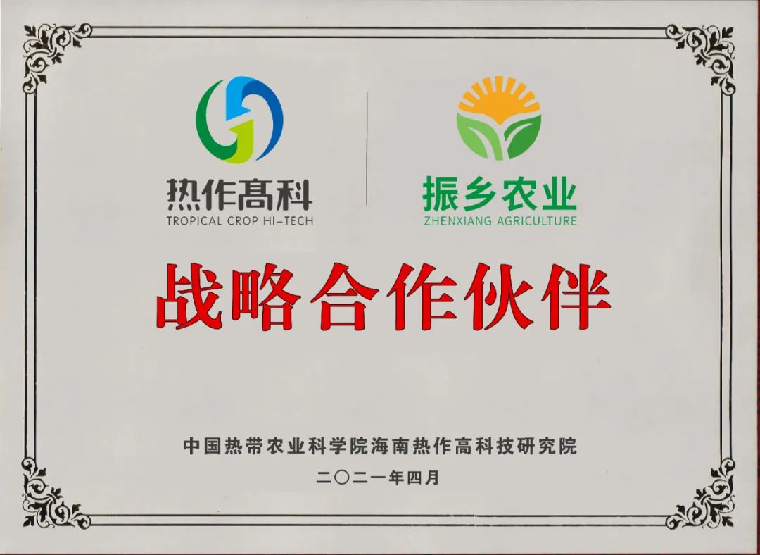 富硒地瓜的功效和作用(地瓜功效作用富硒含量)-硒宝网