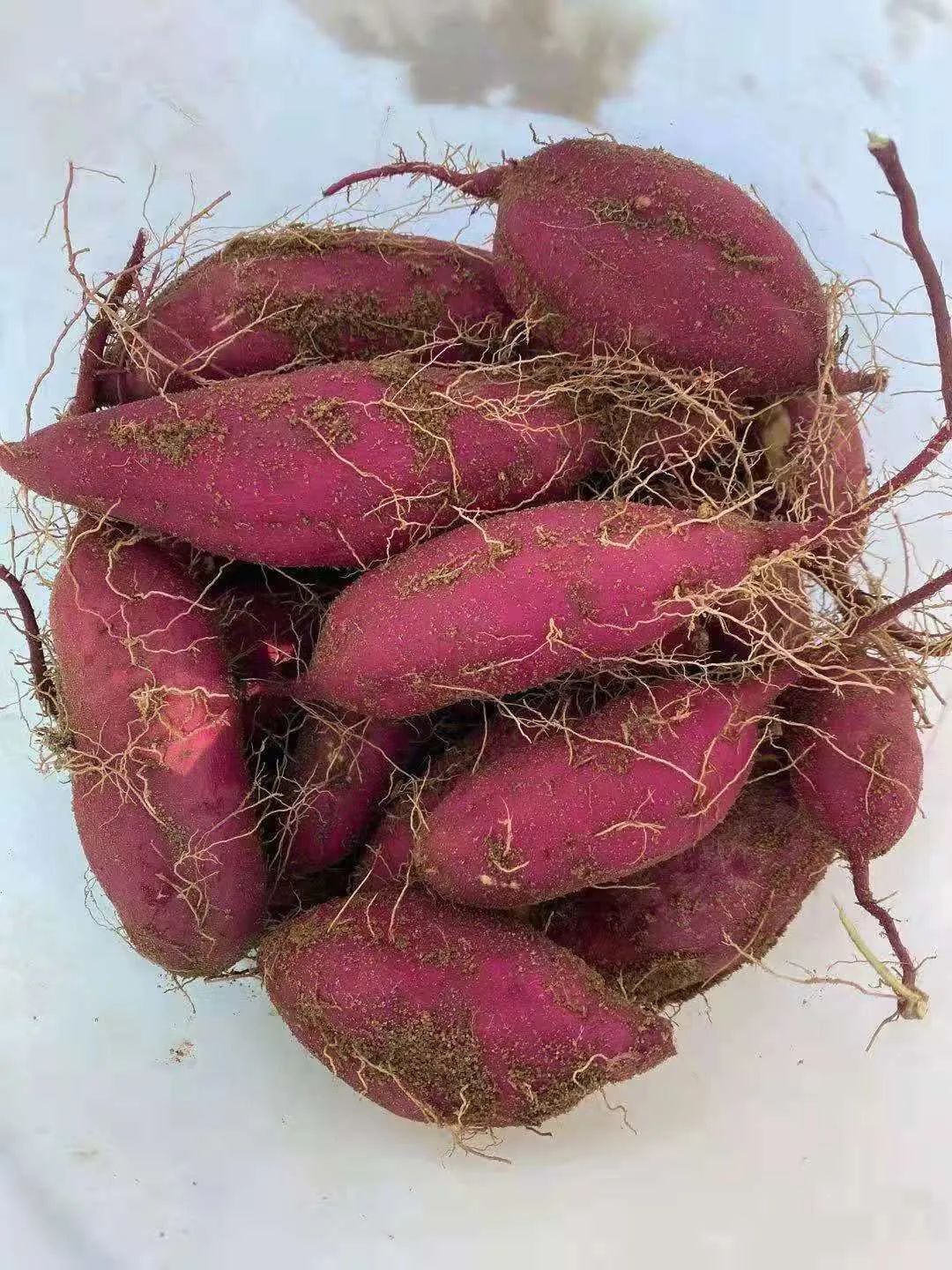 富硒地瓜的功效和作用(地瓜功效作用富硒含量)-硒宝网