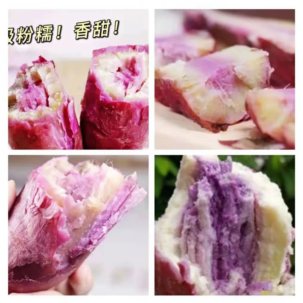 富硒地瓜的功效和作用(地瓜功效作用富硒含量)-硒宝网