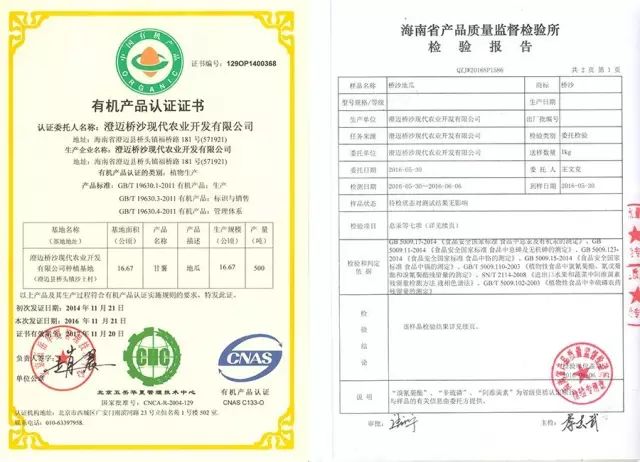 海南桥头富硒地瓜超甜（海南桥头富硒地瓜好吃吗）-硒宝网