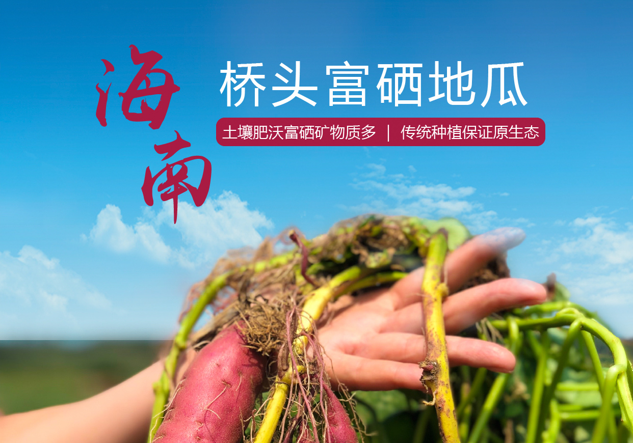 吃桥头富硒地瓜的方法（桥头富硒地瓜怎么区分真假）-硒宝网