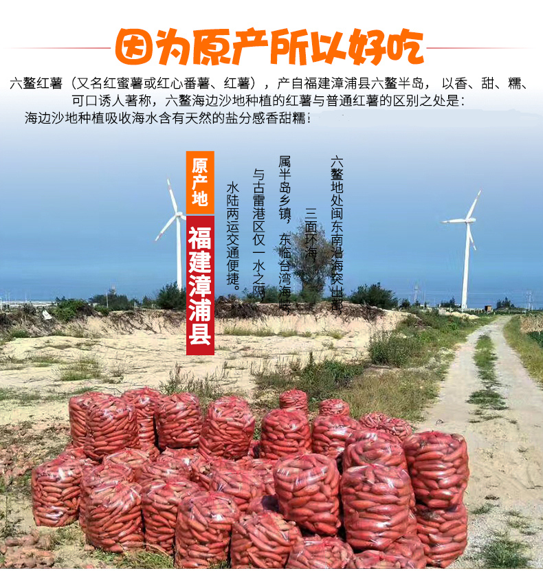 吃桥头富硒地瓜的方法（桥头富硒地瓜怎么区分真假）-硒宝网