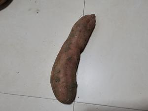 减肥可以吃富硒地瓜嘛（富硒地瓜热量高吗）-硒宝网