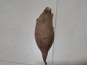 减肥可以吃富硒地瓜嘛（富硒地瓜热量高吗）-硒宝网