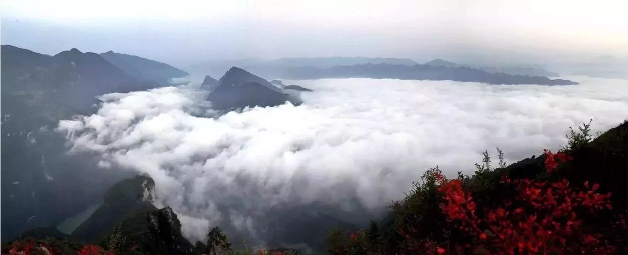 富硒地瓜的别名是什么（富硒地瓜好吃吗）-硒宝网