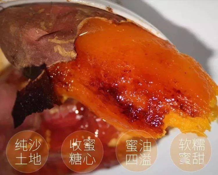蜜薯富硒地瓜哪个好吃(蜜薯和富硒地瓜的区别)-硒宝网
