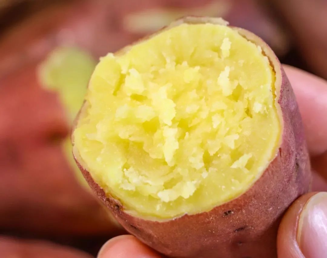 桥头富硒地瓜味美香甜(桥头富硒地瓜营养价值)-硒宝网