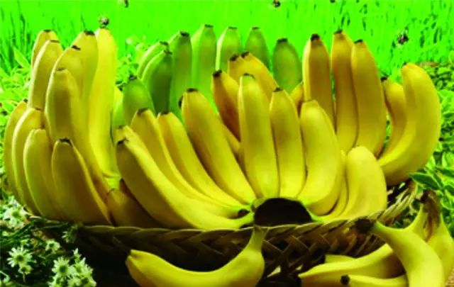 桥头富硒地瓜味美香甜(桥头地瓜吃法)-硒宝网