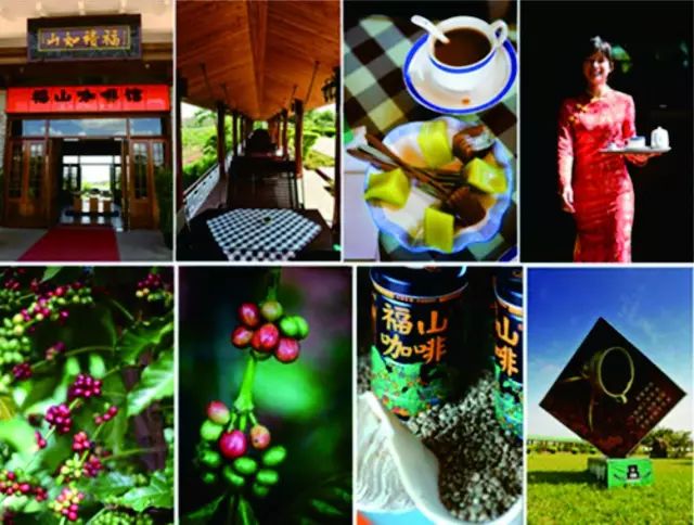 桥头富硒地瓜味美香甜(桥头地瓜吃法)-硒宝网