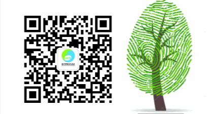 桥头富硒地瓜味美香甜(桥头地瓜吃法)-硒宝网