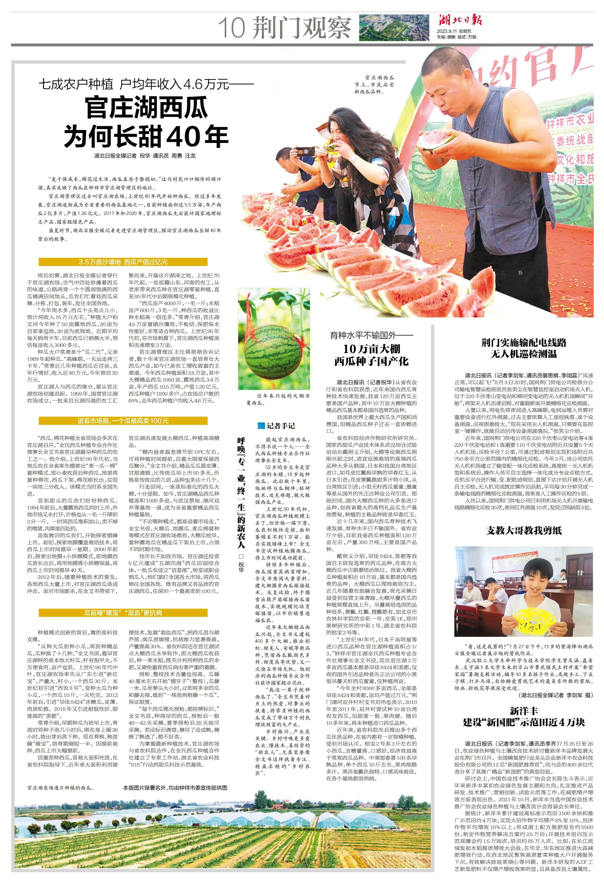 桥头富硒地瓜1号种植（海南桥头富硒地瓜功效）-硒宝网