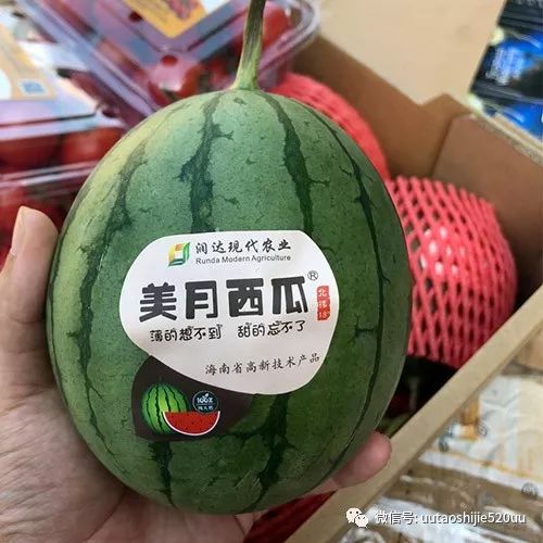 桥头富硒地瓜味美香甜(桥头地瓜含硒真的高吗)-硒宝网