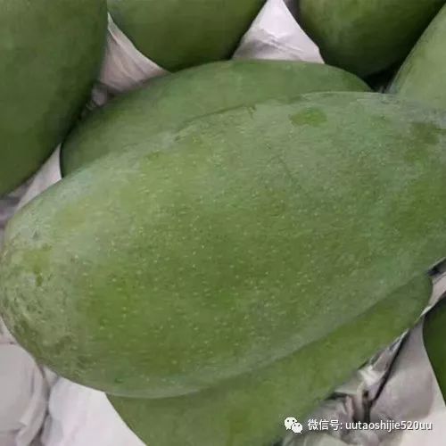 桥头富硒地瓜味美香甜(桥头地瓜含硒真的高吗)-硒宝网