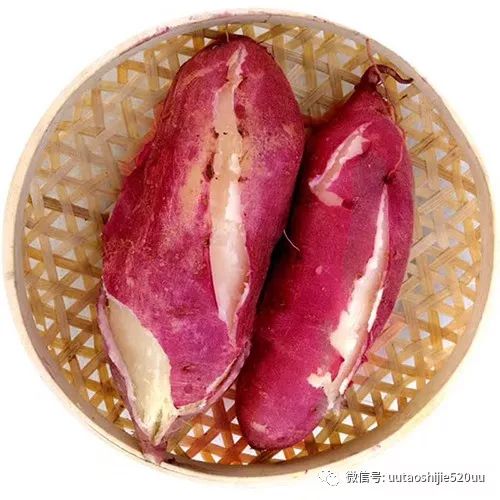 桥头富硒地瓜味美香甜(桥头地瓜含硒真的高吗)-硒宝网