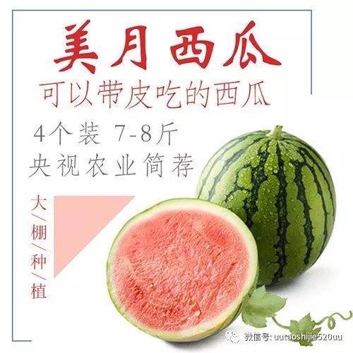 桥头富硒地瓜味美香甜(桥头地瓜含硒真的高吗)-硒宝网