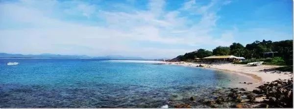 富硒地瓜粉是什么做的(富硒地瓜是转基因的吗)-硒宝网