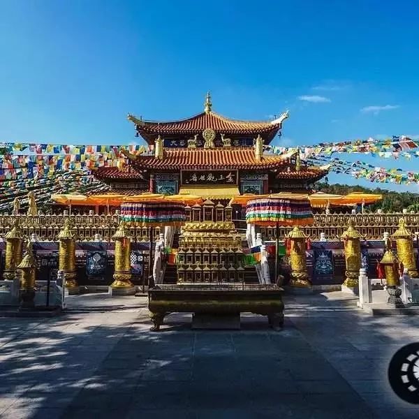 富硒地瓜粉是什么做的(富硒地瓜是转基因的吗)-硒宝网