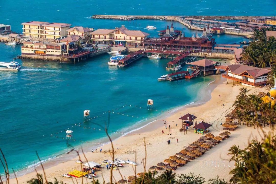 富硒地瓜粉是什么做的(富硒地瓜是转基因的吗)-硒宝网