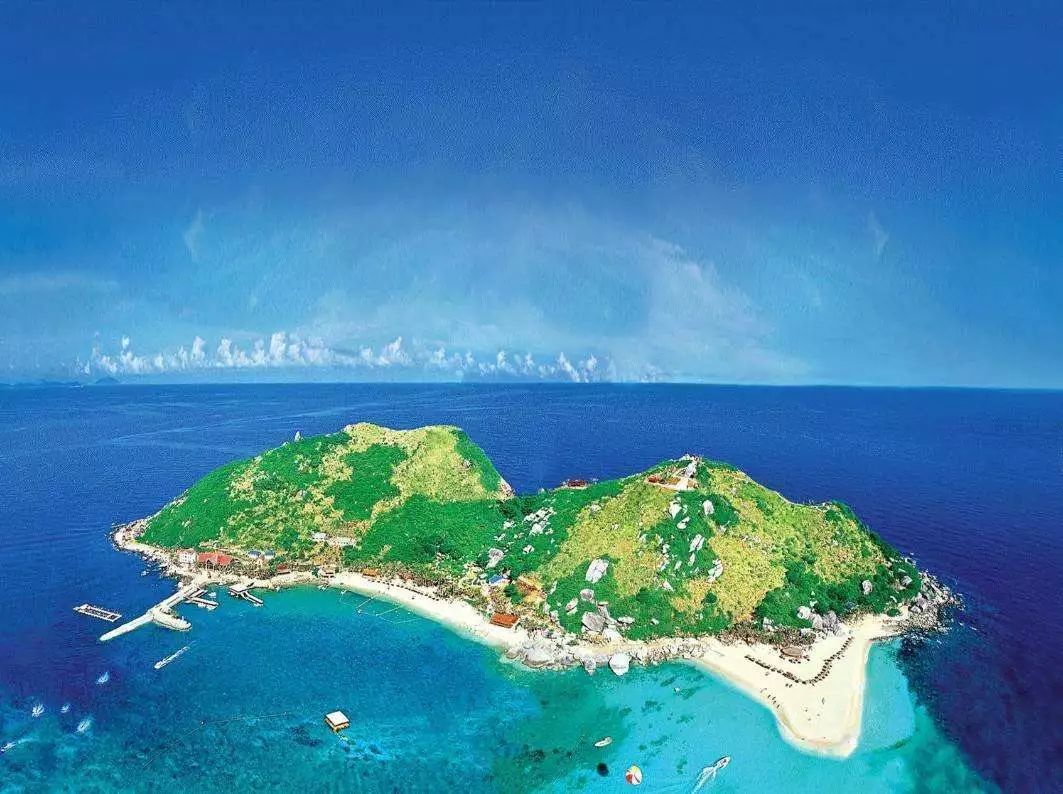 富硒地瓜粉是什么做的(富硒地瓜是转基因的吗)-硒宝网