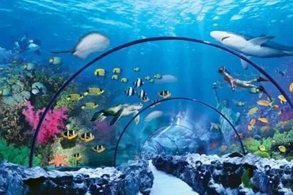 富硒地瓜粉是什么做的(富硒地瓜是转基因的吗)-硒宝网