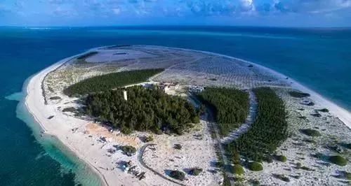 富硒地瓜粉是什么做的(富硒地瓜是转基因的吗)-硒宝网