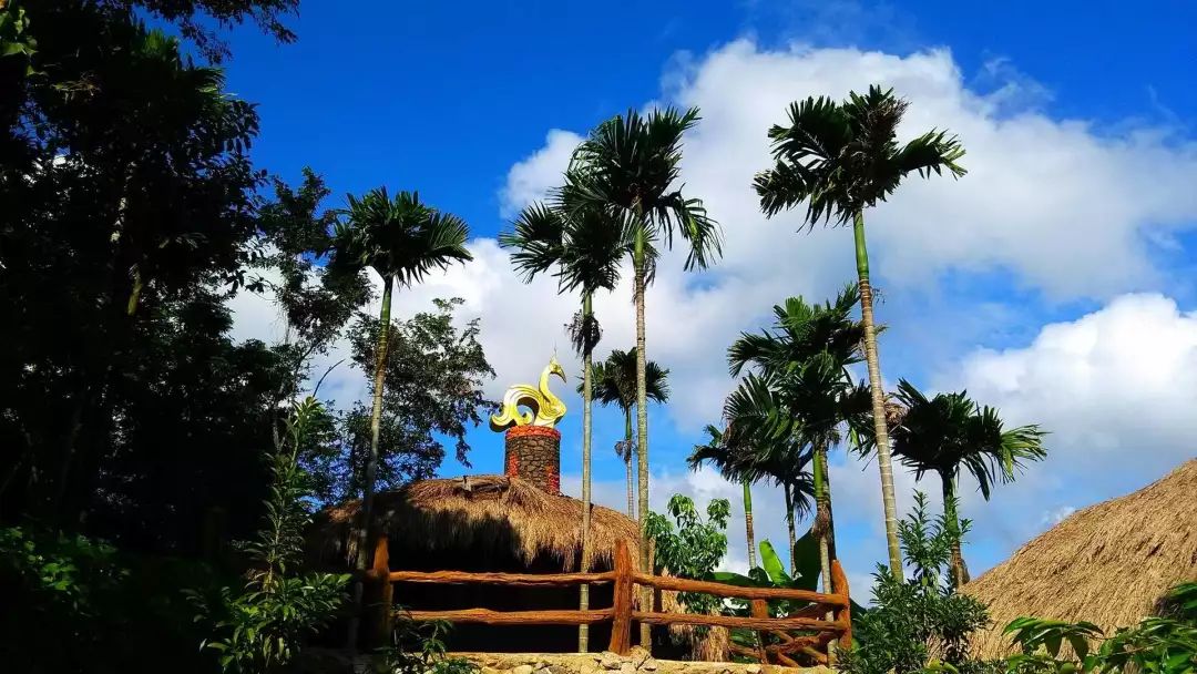 富硒地瓜粉是什么做的(富硒地瓜是转基因的吗)-硒宝网