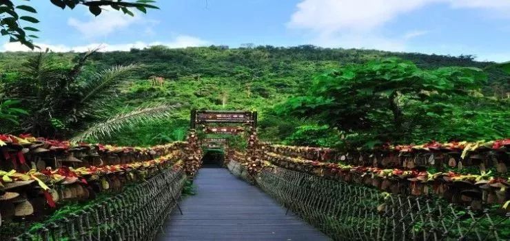 富硒地瓜粉是什么做的(富硒地瓜是转基因的吗)-硒宝网