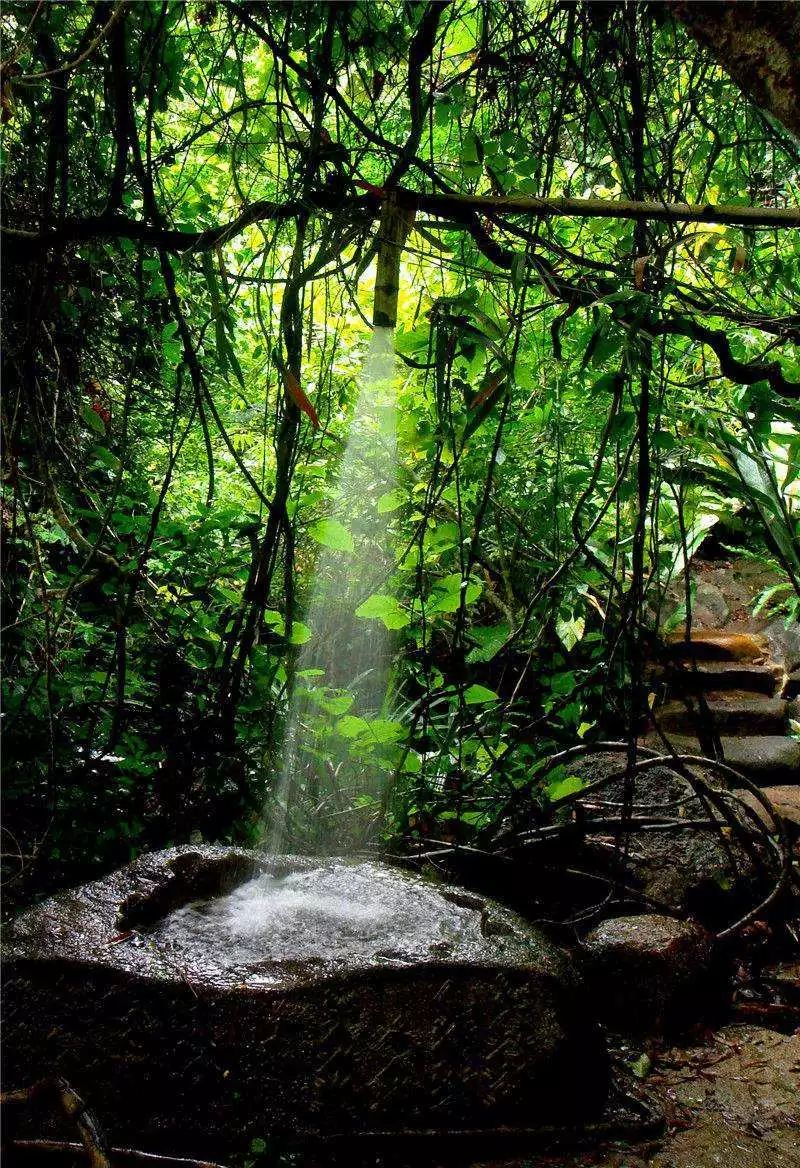 富硒地瓜粉是什么做的(富硒地瓜是转基因的吗)-硒宝网