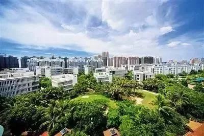 富硒地瓜粉是什么做的(富硒地瓜是转基因的吗)-硒宝网