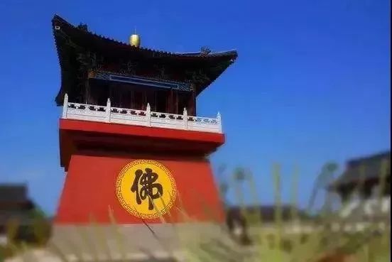 富硒地瓜粉是什么做的(富硒地瓜是转基因的吗)-硒宝网