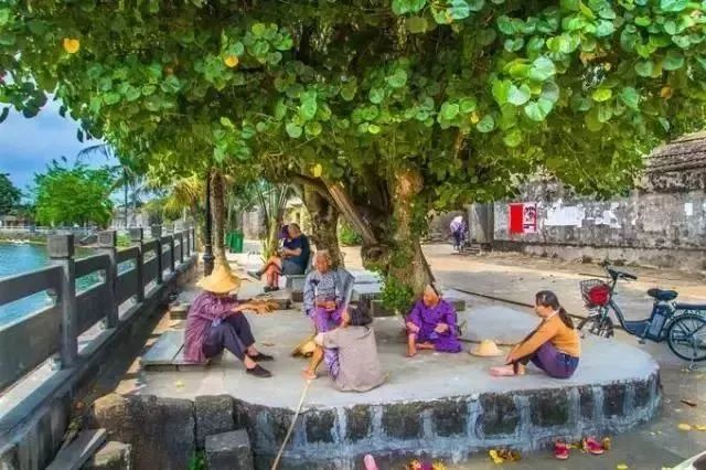 富硒地瓜粉是什么做的(富硒地瓜是转基因的吗)-硒宝网