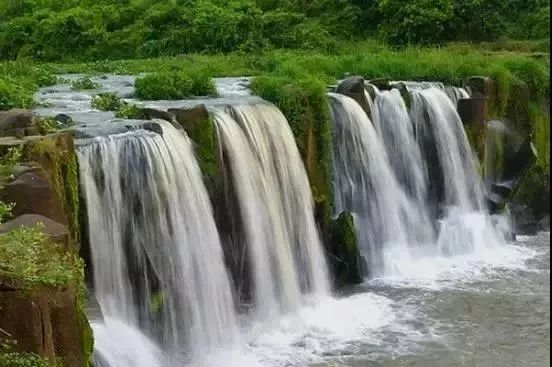 富硒地瓜粉是什么做的(富硒地瓜是转基因的吗)-硒宝网