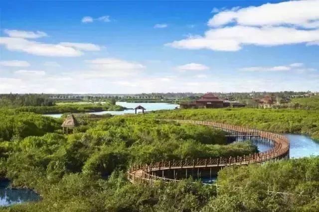 富硒地瓜粉是什么做的(富硒地瓜是转基因的吗)-硒宝网