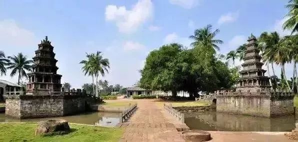 富硒地瓜粉是什么做的(富硒地瓜是转基因的吗)-硒宝网