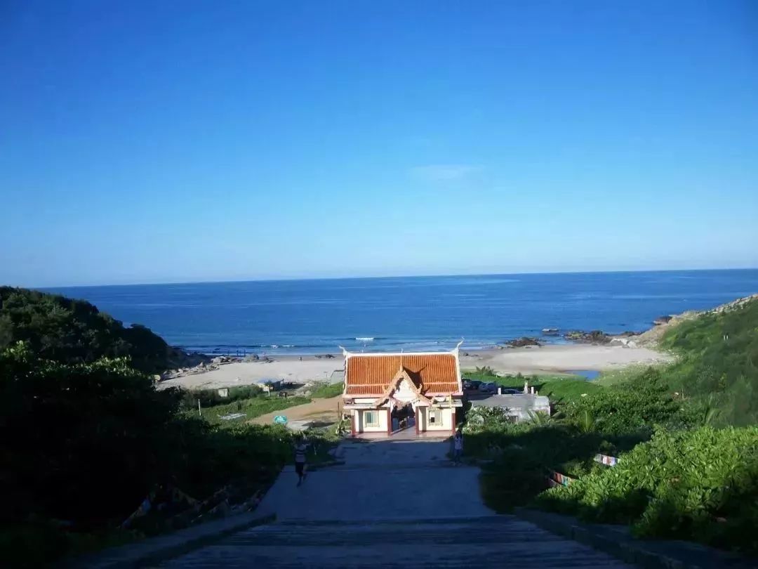 富硒地瓜粉是什么做的(富硒地瓜是转基因的吗)-硒宝网