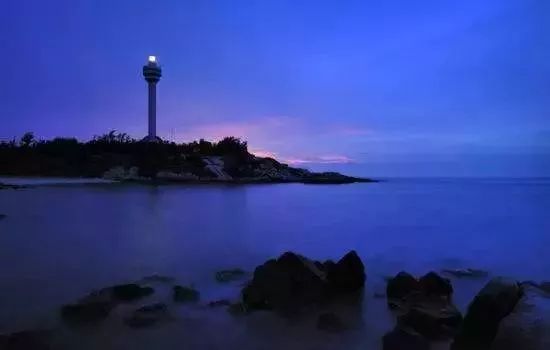 富硒地瓜粉是什么做的(富硒地瓜是转基因的吗)-硒宝网