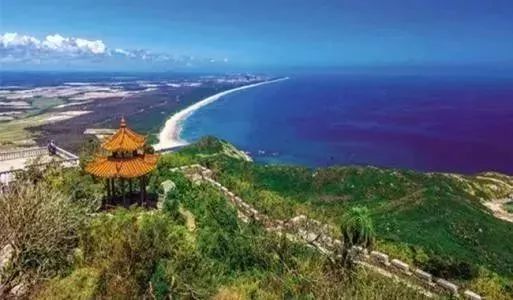 富硒地瓜粉是什么做的(富硒地瓜是转基因的吗)-硒宝网