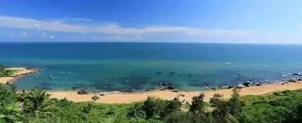 富硒地瓜粉是什么做的(富硒地瓜是转基因的吗)-硒宝网