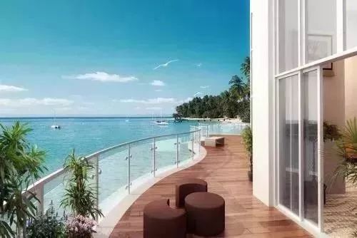 富硒地瓜粉是什么做的(富硒地瓜是转基因的吗)-硒宝网