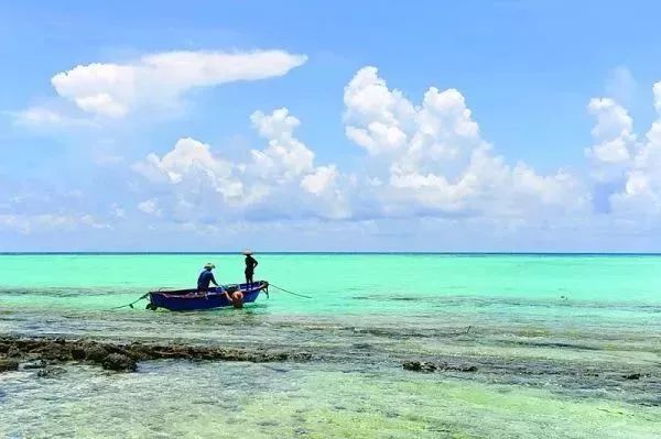 富硒地瓜粉是什么做的(富硒地瓜是转基因的吗)-硒宝网