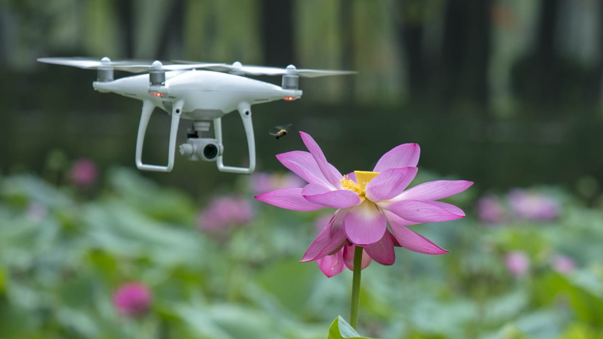 滕州富硒地瓜批发市?。菽睦镉形鞴匣兀?硒宝网