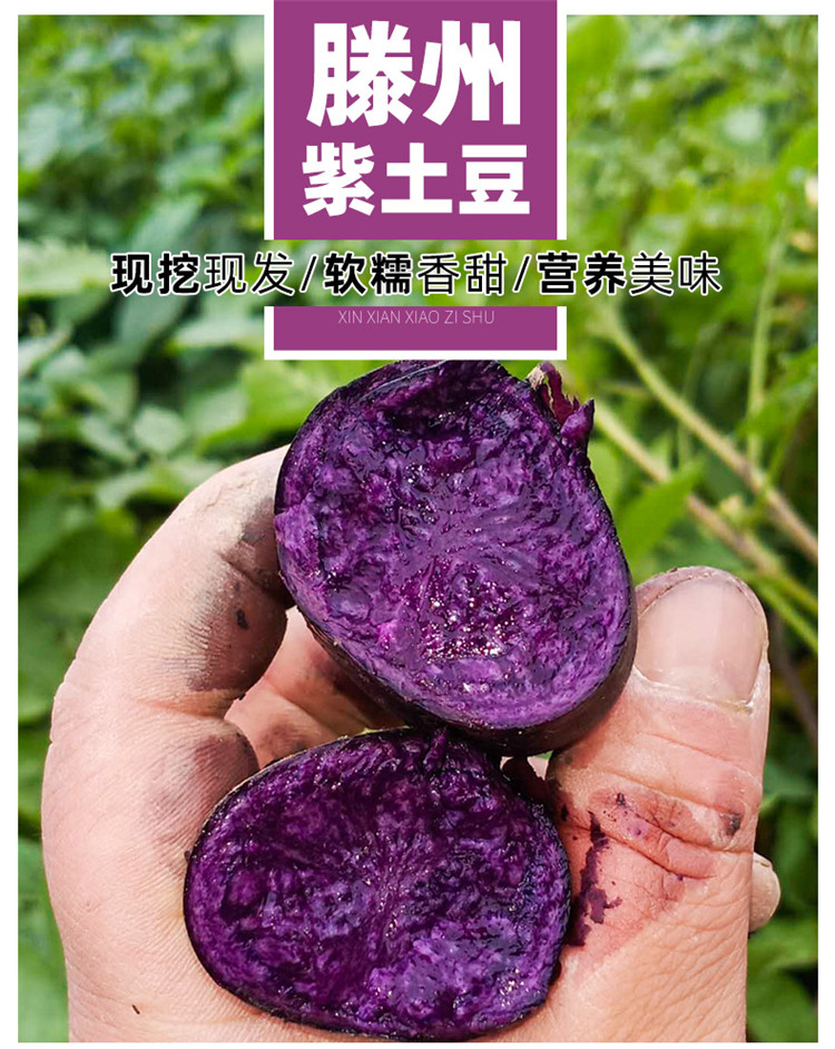 滕州富硒地瓜批发市场（滕州哪里有西瓜基地）-硒宝网