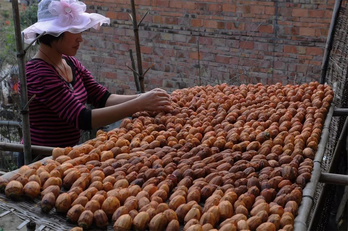 富硒地瓜粉是什么做的(富硒地瓜好吗)-硒宝网