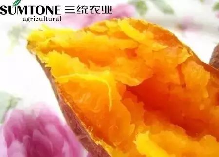 食用富硒烤地瓜的好处（富硒地瓜的好处）-硒宝网