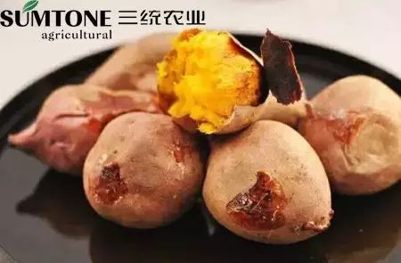 食用富硒烤地瓜的好处（富硒地瓜的好处）-硒宝网