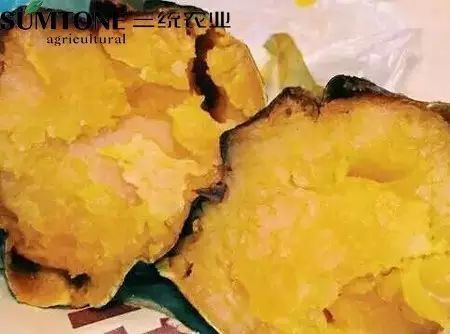 食用富硒烤地瓜的好处（富硒地瓜的好处）-硒宝网