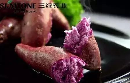 食用富硒烤地瓜的好处（富硒地瓜的好处）-硒宝网