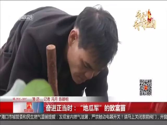 种富硒地瓜苗哪里有卖（富硒地瓜种植技术视频教程）-硒宝网