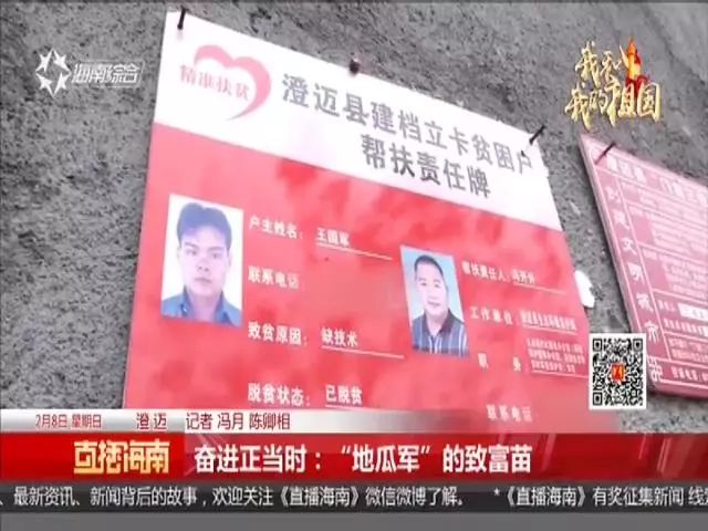 种富硒地瓜苗哪里有卖（富硒地瓜种植技术视频教程）-硒宝网